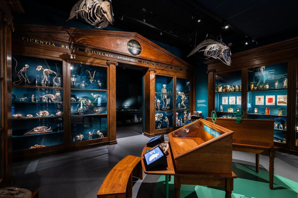 Restauratie Bleulandkabinet